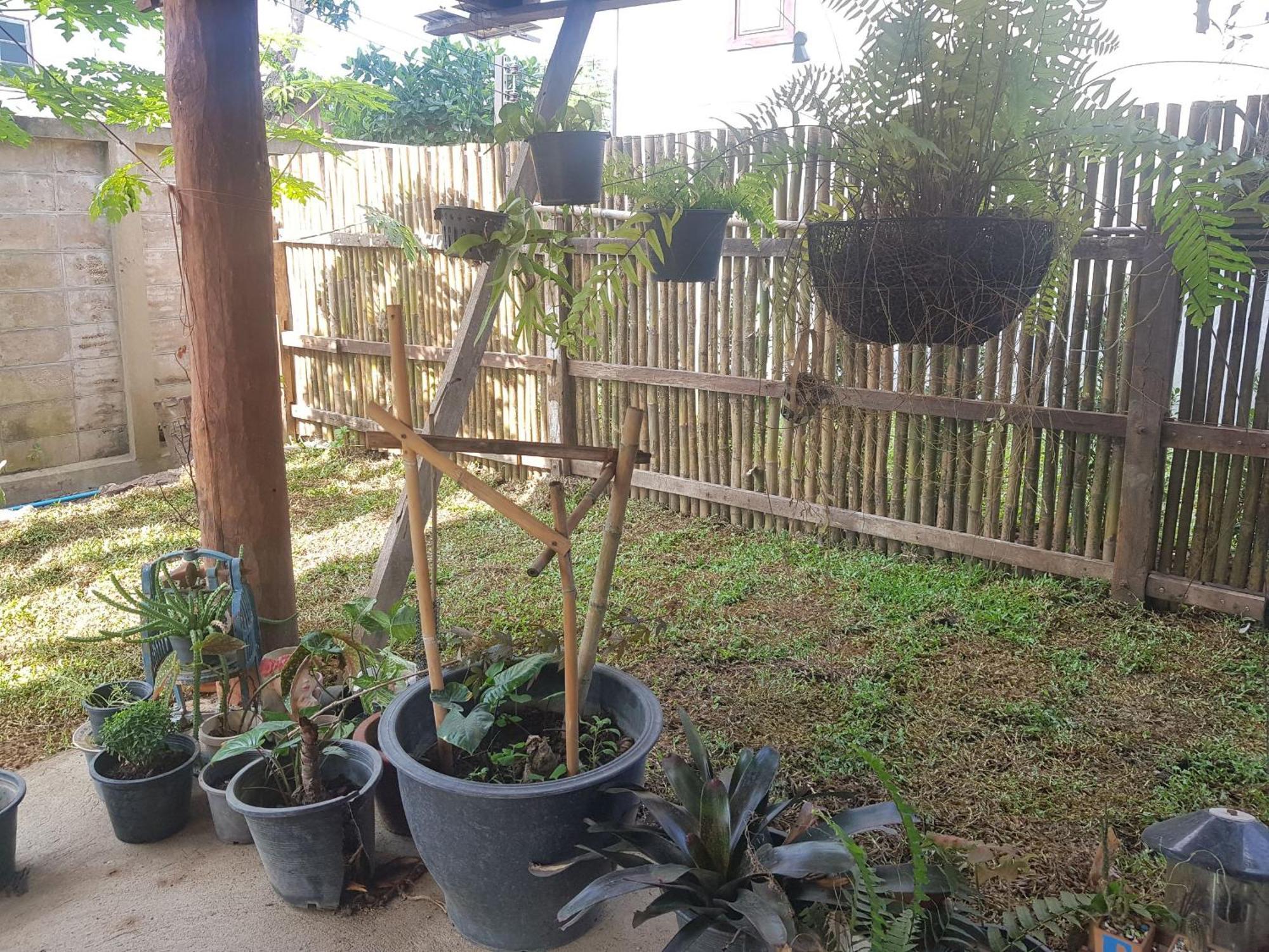Kedthawa Homestay เฮือนเก็ดถะหวา Ban Cho Lae Bagian luar foto