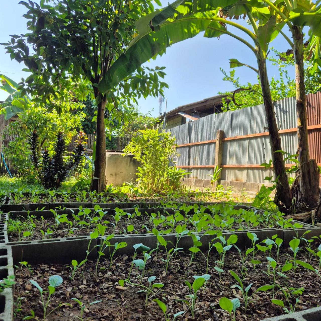 Kedthawa Homestay เฮือนเก็ดถะหวา Ban Cho Lae Bagian luar foto