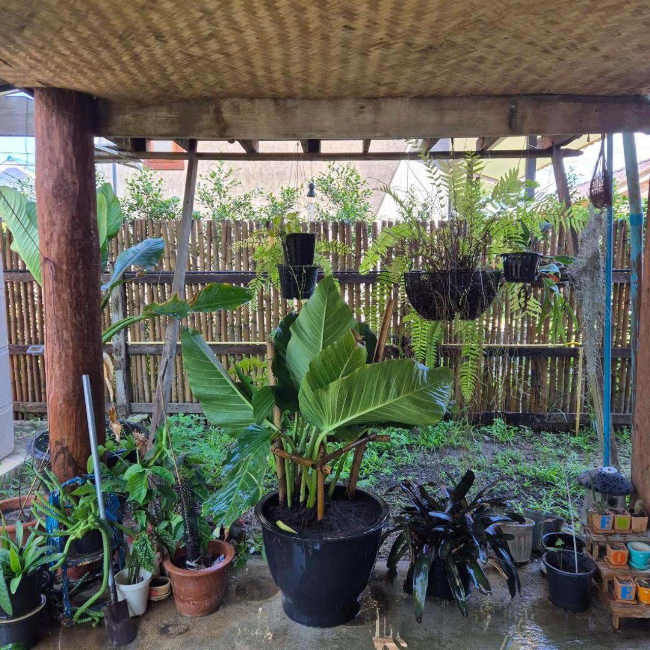 Kedthawa Homestay เฮือนเก็ดถะหวา Ban Cho Lae Bagian luar foto