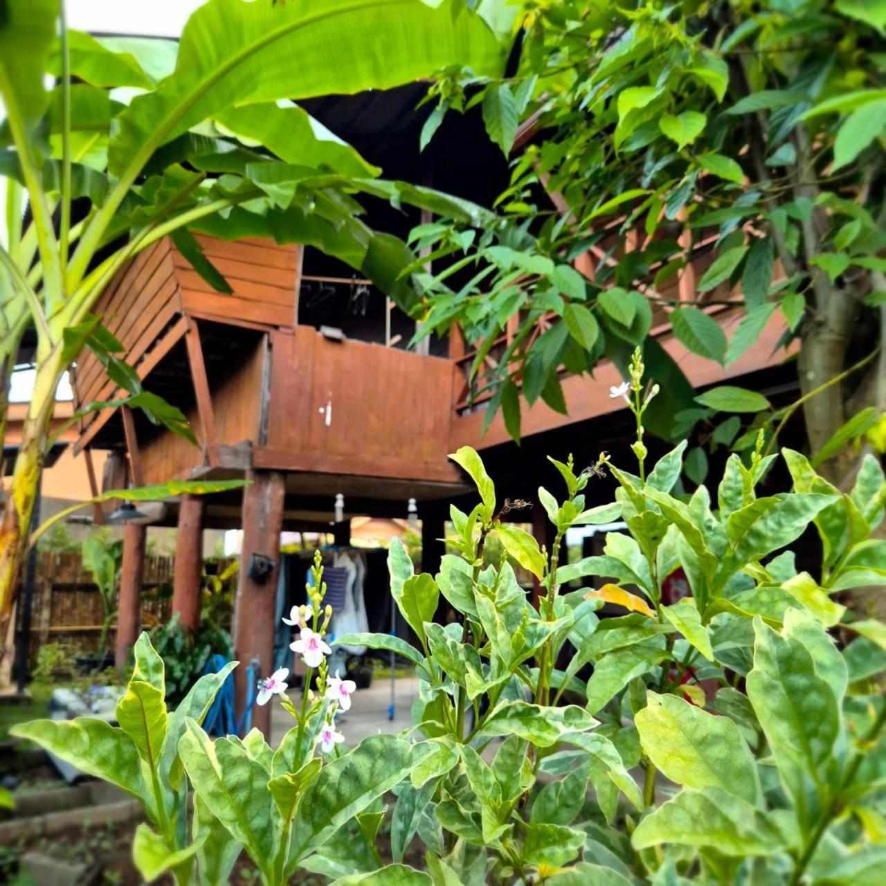 Kedthawa Homestay เฮือนเก็ดถะหวา Ban Cho Lae Bagian luar foto