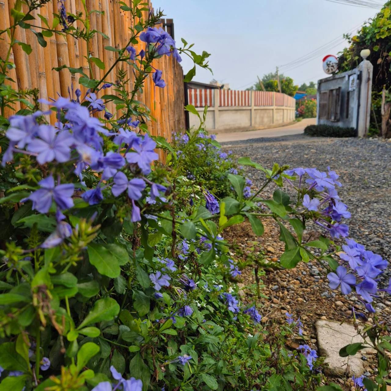 Kedthawa Homestay เฮือนเก็ดถะหวา Ban Cho Lae Bagian luar foto