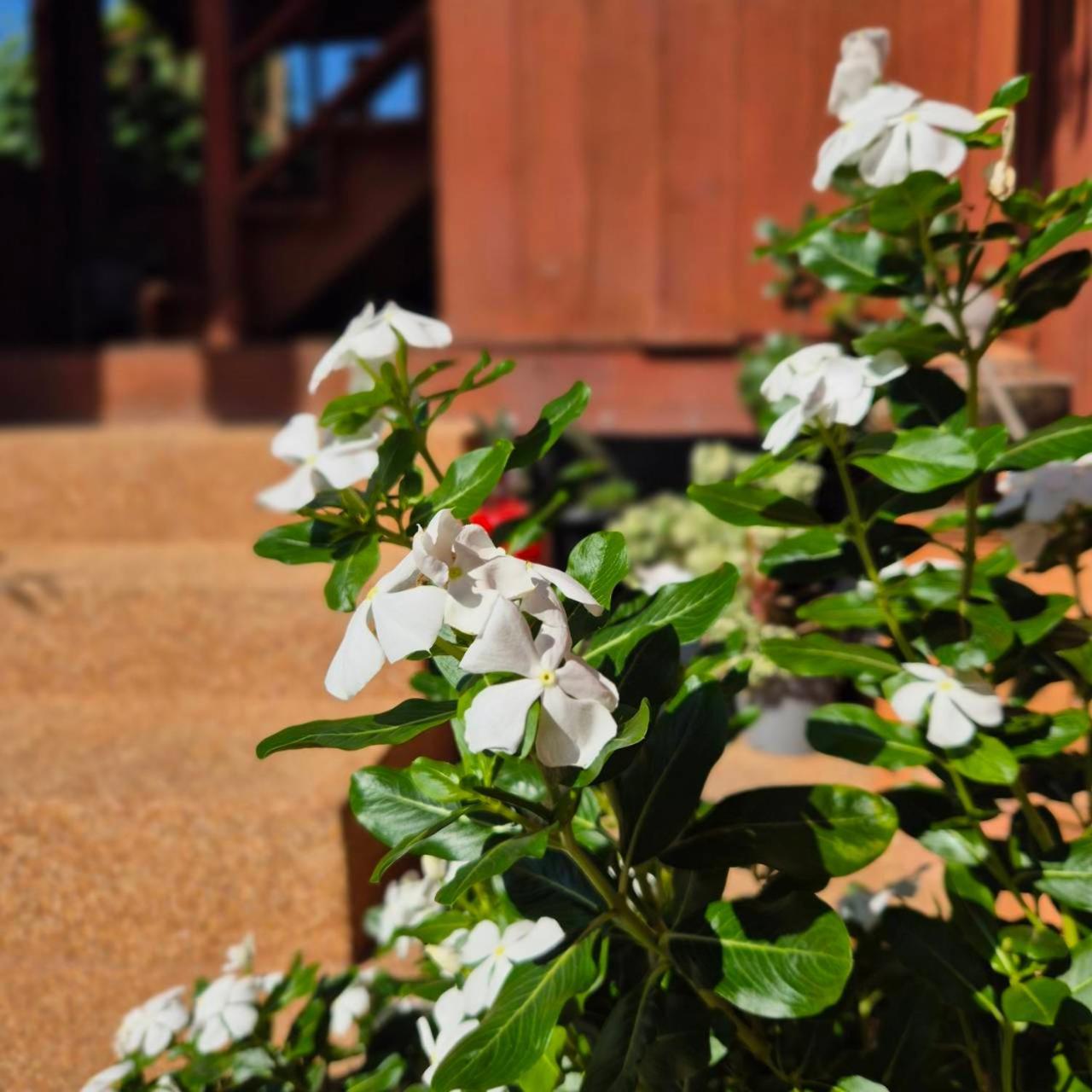 Kedthawa Homestay เฮือนเก็ดถะหวา Ban Cho Lae Bagian luar foto